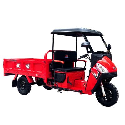 China DAYANG Thickened Frame Tricycles Three Wheel Adult Mini Truck Cargo Tricycle Delivery Trike for sale