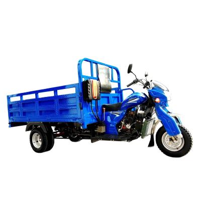 China 800W Foldable Petrol Tricycle for Adults Standard Size Charge Power Mobility Scooter for sale