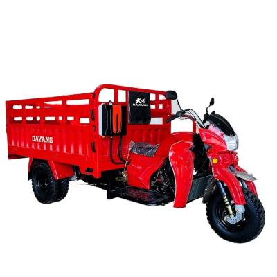 China DAYANG 200cc Petrol Engine Motorized Three Wheel Cargo Bike for Heavy Duty in Egypt for sale