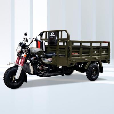 China Super Load Capacity Motorized Cargo Tricycle with 800W Power and 60km/h Speed for sale