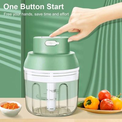 China Sustainable 100/250ml Smart gadgets Food Grade Baby Food Processor Smart Electric Meat Mincer Onion Garlic Vegetable Electric Chopper for sale