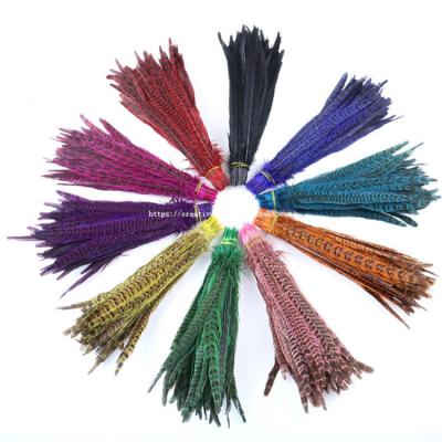 China Marry the & Wholesale High Quality Party Decoration 25-30cm Rooster Feather In Natural Color With 100pcs/lot For Cheap Sale for sale