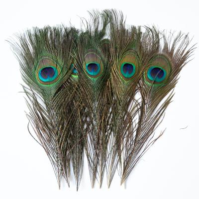 China Fashion Natural Peacock Feather For Dress Wedding Party Banquet Peacock Feather Wholesale for sale