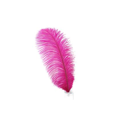 China Fashion Alibaba Cheap Natural Ostrich Feather Bulk Feather For Wedding Decor for sale