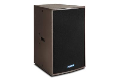 China 13 inch pro sound pa system BL-13 for sale