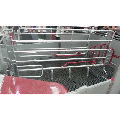 China Farms Factory Price Supply Pig Farm Equipment For Pig Farrow Crate for sale