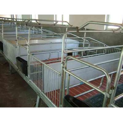 China Farms Hog Farm Equipment Crate Stall Sow Farrowing Maternity Cage for sale