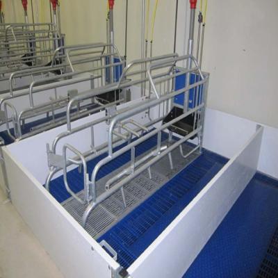 China Farms Wholesale Galvanized Used Pig Farrow Crate For Pig Farm Equipment for sale