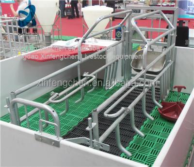 China Easily install high quality pig farm equipment pig farm pig crate sow crate gestation farrowing stall for sale