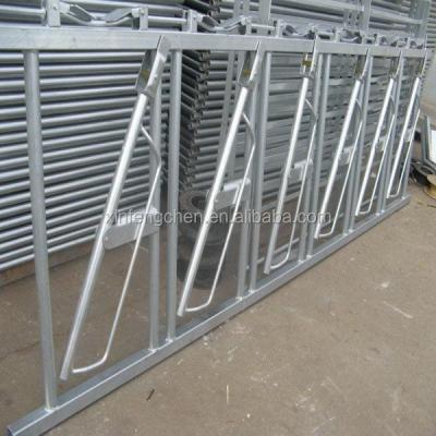 China Farms Galvanized Dairy Cow Farm Equipment For Key Locks for sale