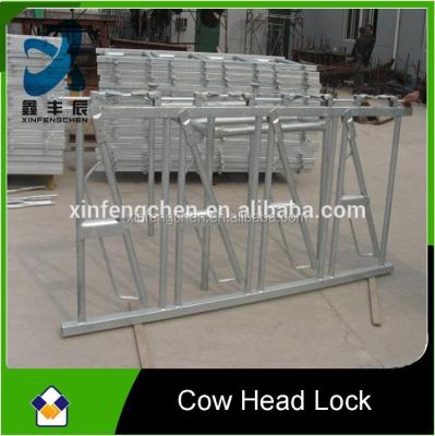 China Farms Cattle Cow Force Collars And Cow Free Stall For Dairy Farm Equipment for sale