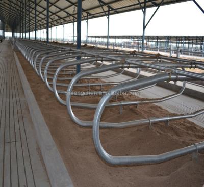 China Farms Galvanized Dairy Cow Farm Equipment Cow Stalls for sale