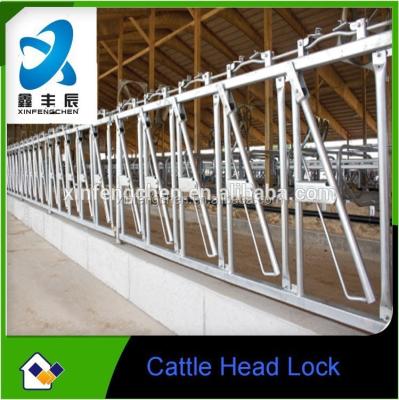 China 4 Cows Scare Force Collars For Cow Farm Equipment XFC-023 for sale