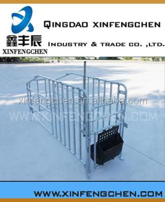 China Pig Pig Farm Equipment Pig Gestation Stall for sale