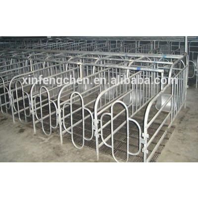 China Durable Heavy Duty Pig Farm Equipment Sow Gestation Stall for sale