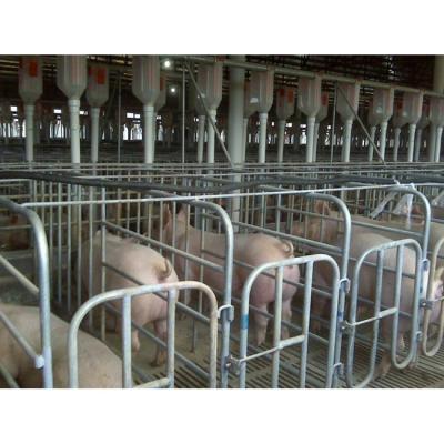 China Steel Material Farms Solid Gestation Crate Cattle Pen Crates For Sow Pig Cage for sale