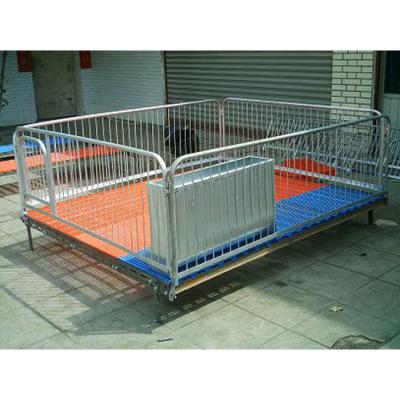 China Durable Hot Dip Galvanization And PVC Fence Pig Weaning Stall Cattle For Sale for sale