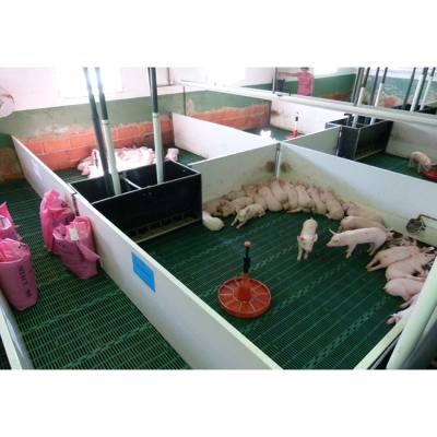 China Durable Live Stock PVC Fence And Galvanizing Tube Pig Weaning Stall Equipment for sale