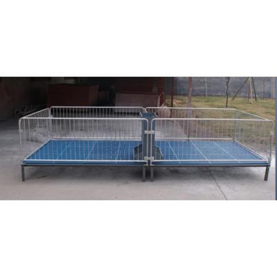 China China factory supply durable piglet cattle weaning stall with good quality and low price for sale