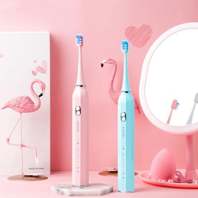 China Sonic Electric Cheap ODM Travel Sonic Electric Rechargeable Toothbrush Portable Battery Sonic Toothbrush Y9 for sale