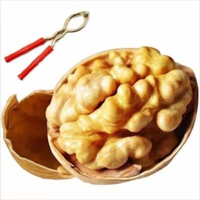 China 2021 dry new Xinjiang paper-peeled walnuts and large walnuts original snacks with shelled walnuts 1 kg per carton for sale