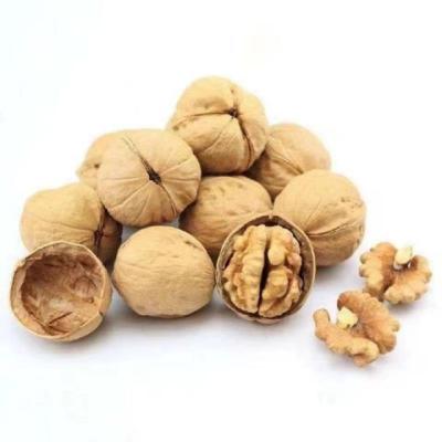 China 2021 Xinjiang Walnut Nut Original Raw Walnut Dry Thin Peeled Walnut Free Clip 2.5 Kg Per Carton for sale