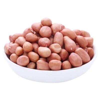 China 2021 Special News Price of China Dry Peanuts Shandong Original Dry Peanuts Peanuts 1kg Per Carton for sale