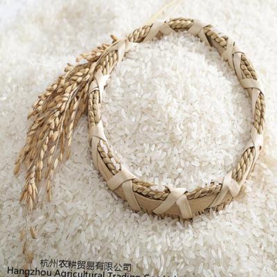 China New OEM Quality Seasonal Rice Dry Fragrant Green Eco Friendly High Quality Rice for sale