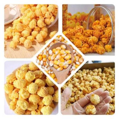 China Hot Selling China Shandong Fresh Vegetable Dried Classic Seasonal High Quality Corn for sale