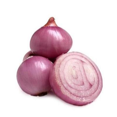 China Fresh China Manufacturing Cheap Seasonal Fresh Vegetables China Shandong Seasonal Onions for sale