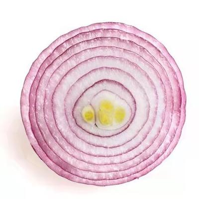 China Best China Low Price Fresh Seasonal Fresh Vegetables Porcelain Shandong Seasonal Onions for sale