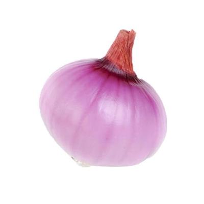 China Cheap Fresh Fresh Onion Red Good Quality Ready For Export From China for sale