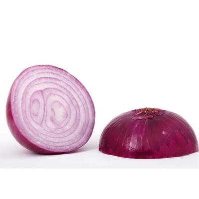 China Export price fresh high quality organic vegetable red onions red onions for sale