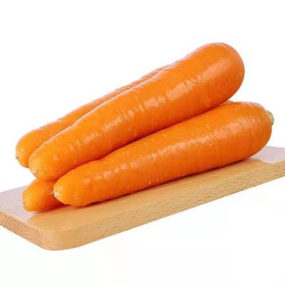 China Shandong Seasonal Carrots Of High Quality Seasonal Fresh Vegetables High Quality Carrots for sale