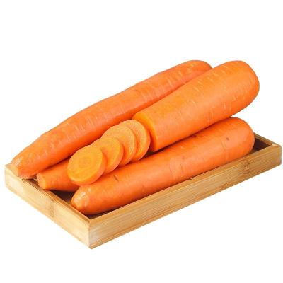 China Fresh professional manufacturer fresh farmers produce high quality carrots and seasonal carrots for sale