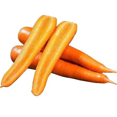 China Fresh hot products tending fresh farmers to produce high quality carrots and seasonal carrots for sale