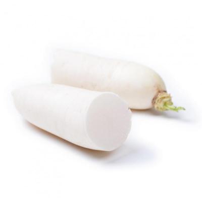 China Wholesale Price Shandong Fresh Vegetable Chinese Seasonal White Radish for sale