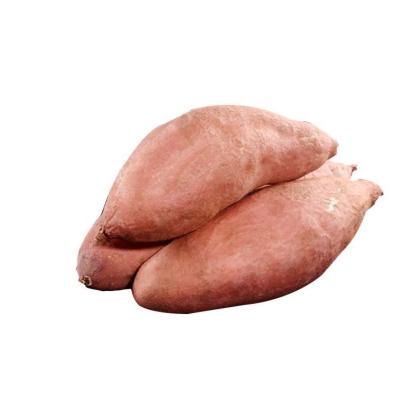 China Latest arrival fresh spring onions are used to cook sweet potatoes, seasonal high quality sweet sweet potatoes for sale