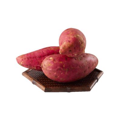 China Latest Fresh Produce Fresh Farmers Produce High Quality Sweet Potatoes and Seasonal Sweet Potatoes for sale