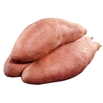 China Fresh low price fresh farmers produce high quality sweet potatoes and seasonal sweet potatoes for sale