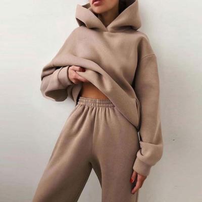 China Custom Wholesale High Quality Custom Fleece Plain Oversized 100% Nylon/Cotton Hoodies Tracksuits Hooded Pullover for sale