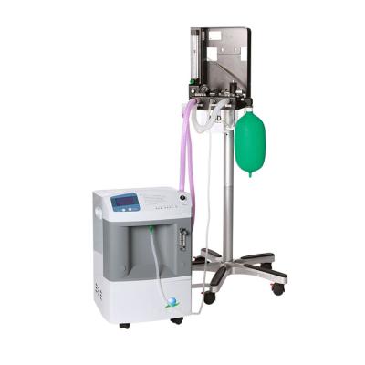 China Factory Direct Supply High Purity For Clinics Veterinary PSA Oxygen Concentrator for sale