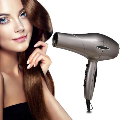 China 2200Watt Household Ionic AC Hair Dryer 110V US Plug Customized Logo for sale