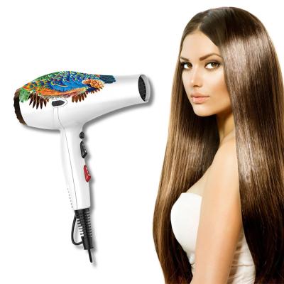 China Multifunctional 2100W 2 Speed AC Hair Dryer Private Label Portable Blow Dryer for sale