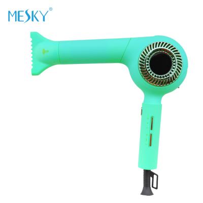 China 220V 125V One Step Hair Dryer Volumizer Salon 1600w Hair Dryer 76dB for sale