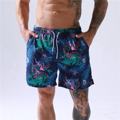 China Anti-Wrinkle Quality Taslon Polyester Single Color Men Beach Shorts Custom Design Swim Surf Panel Shorts Pants Swimwear Beach Wear for sale