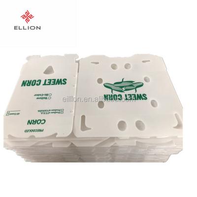 China Plastic Corrugated Corn Box PP Corn Box for sale