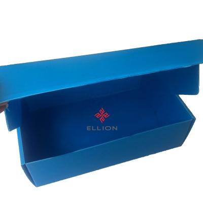 China Recyclable Corrugated Plastic PP Oyster Box Lobster Box Fish Blindfold Whole Fish Seafood Box With Lid for sale