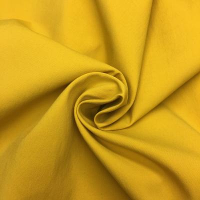 China Polyamide 6% Stretch 94% Polyamide Spandex Elastic Stretch Fabric 2 Weft Taslan Weft Spandex Anti UPF UV 30+ for sale