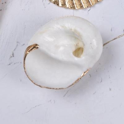 China China Wholesale Conch Shell Party Home Decor DIY Ornament Craft Organic Shells for sale